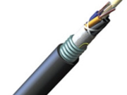 The armored EreBundTuSenb possesses several protective characteristics that contribute to its durability and reliability